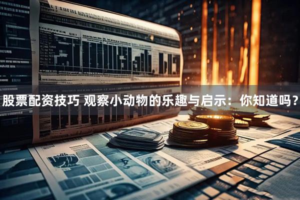 股票配资技巧 观察小动物的乐趣与启示：你知道吗？