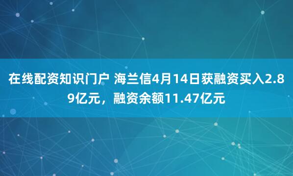 在线配资知识门户 海兰信4月14日获融资买入2.89亿元，融资余额11.47亿元